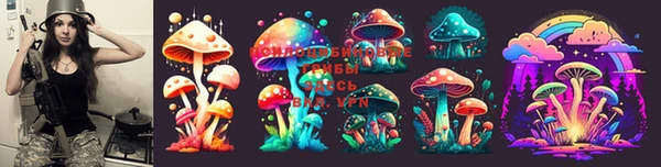 мдпв Вязьма