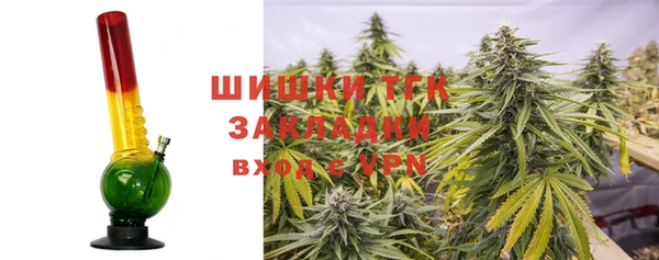 мдпв Вязьма
