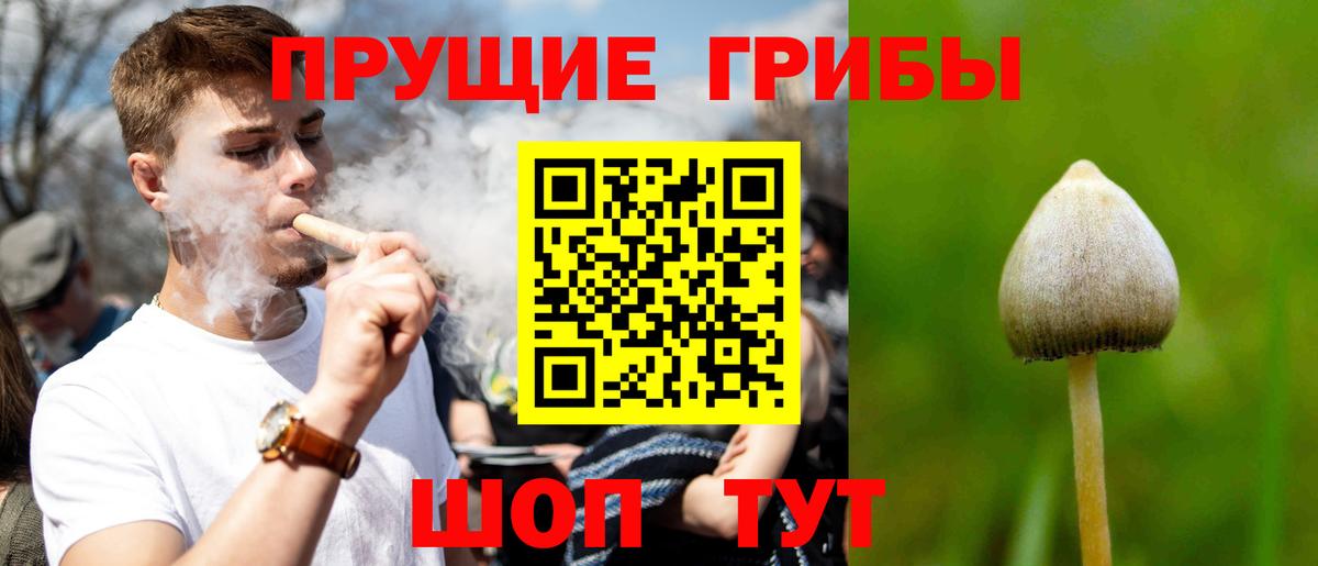 Галлюциногенные грибы GOLDEN TEACHER Бийск